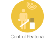 Icono control de acceso peatonal Openvoice